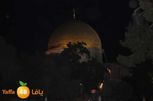 aqsa lud ahaly 712 (83).JPG